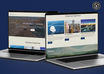 Viewpoint Solutions Public Affairs
