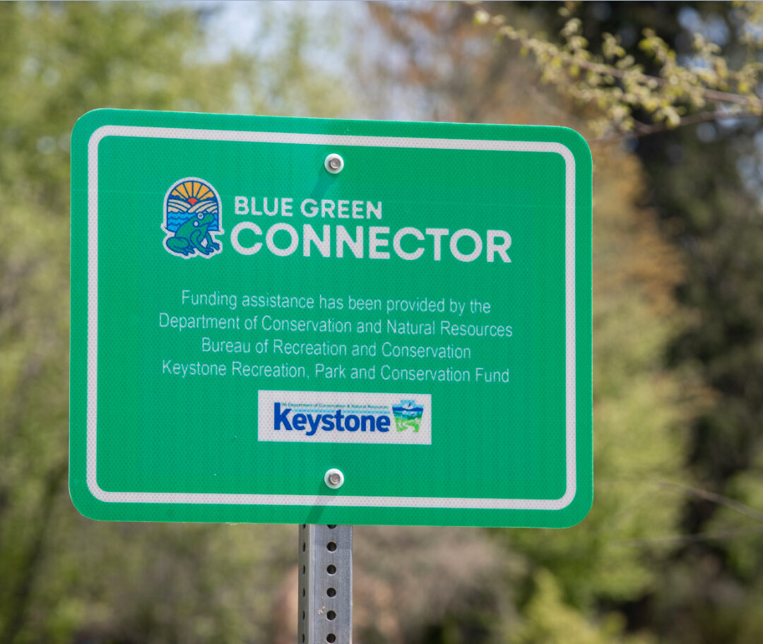 Blue Green Connector Branding and Design